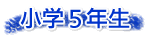 小学５年生