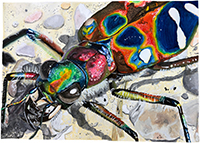 別ウィンドウに拡大表示します。